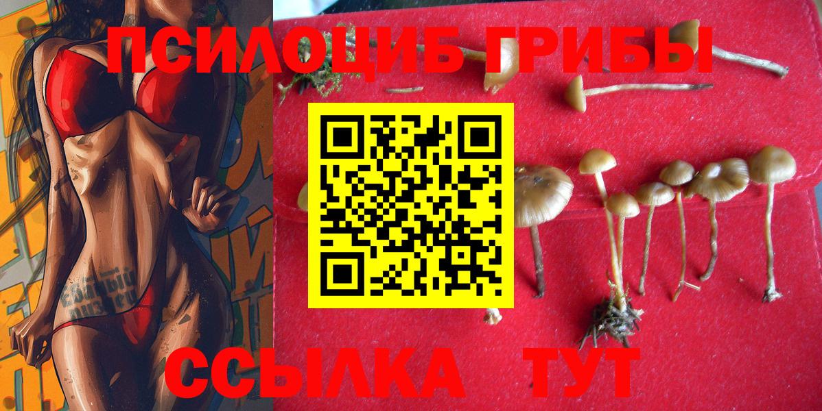 Псилоцибиновые грибы GOLDEN TEACHER Кирово-Чепецк